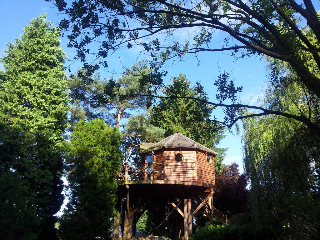 Domaine De La Carrauterie By Terre Insolite Sautin Room photo